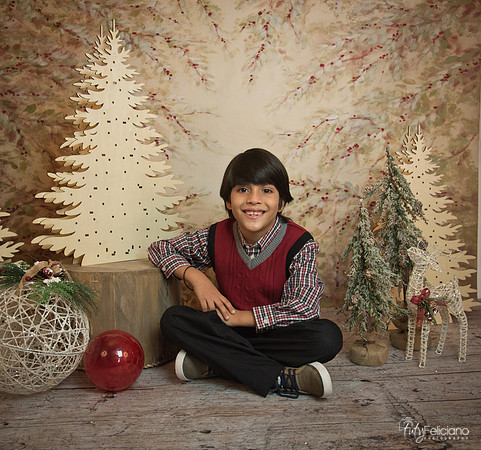 Navidad-11259