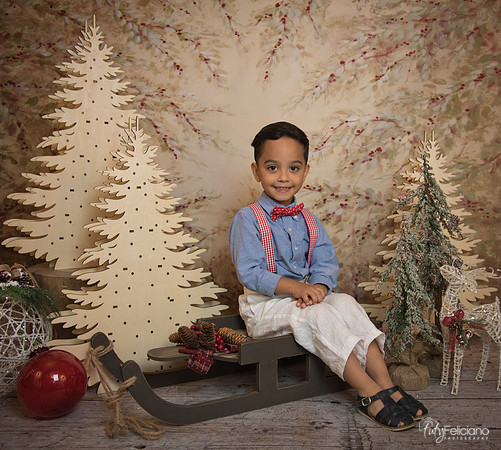Navidad-11057