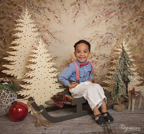 Navidad-11092