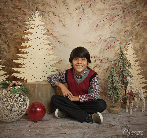 Navidad-11256