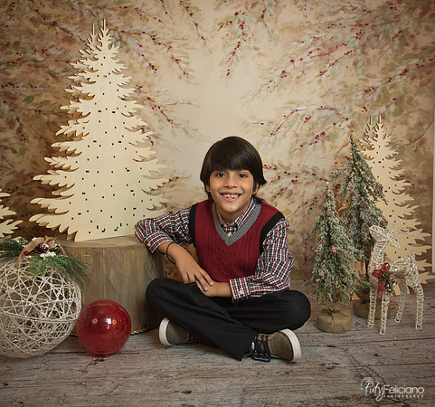 Navidad-11260