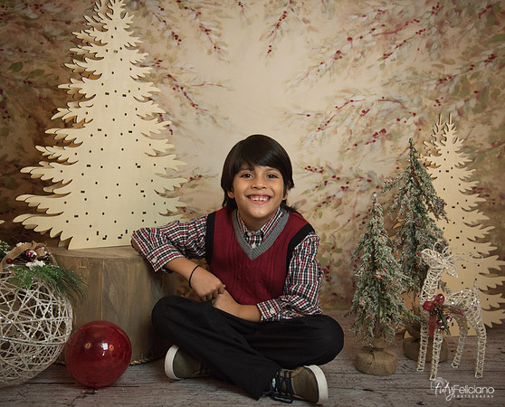 Navidad-11248