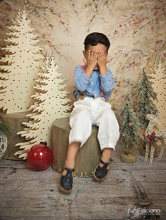 Navidad-11214