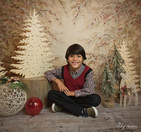 Navidad-11258