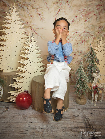 Navidad-11212