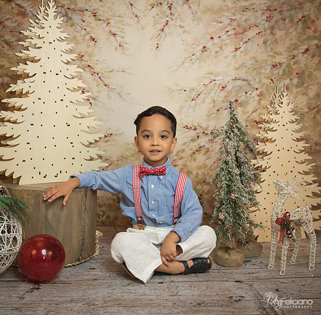Navidad-11200