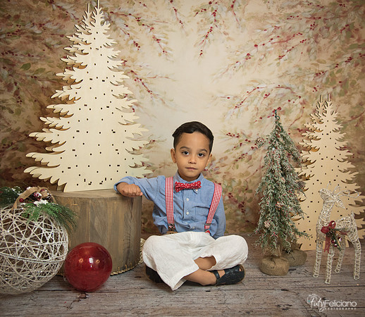 Navidad-11173