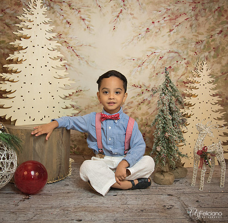 Navidad-11201