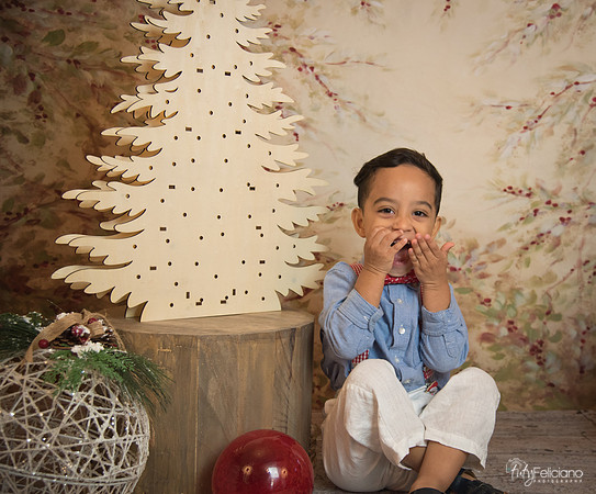 Navidad-11138