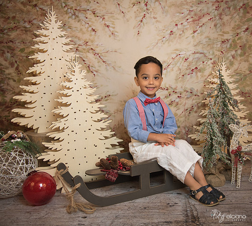 Navidad-11059