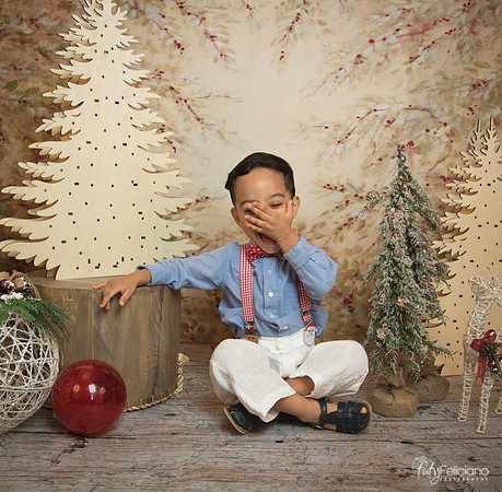 Navidad-11202