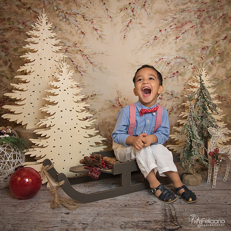 Navidad-11065