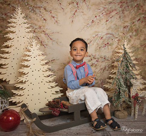 Navidad-11084