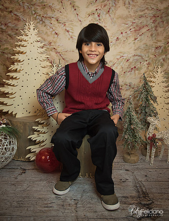 Navidad-11245