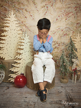 Navidad-11210