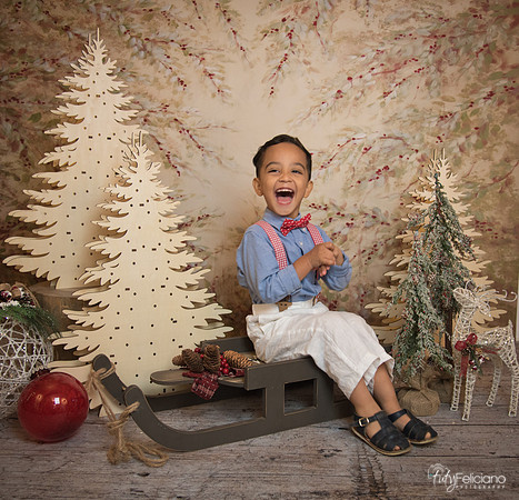 Navidad-11064