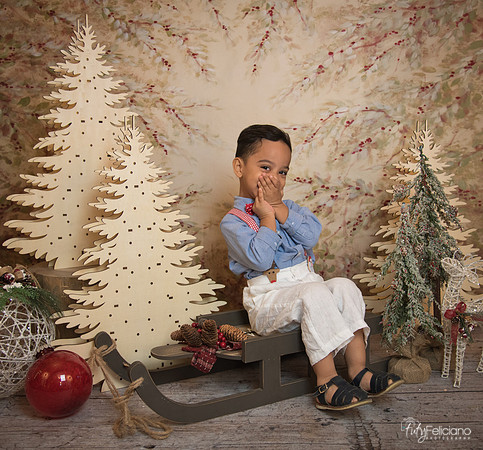 Navidad-11087