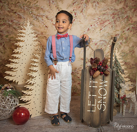 Navidad-11101