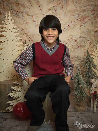 Navidad-11246