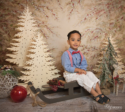 Navidad-11062