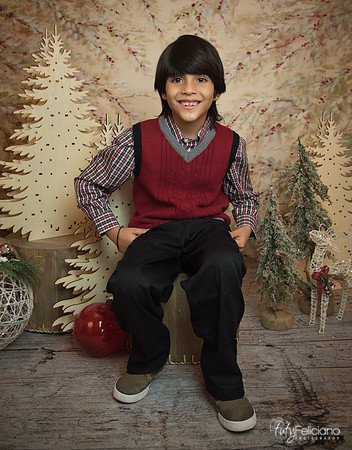 Navidad-11247