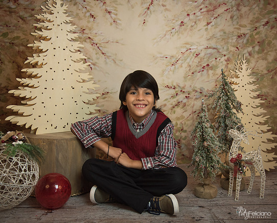 Navidad-11249