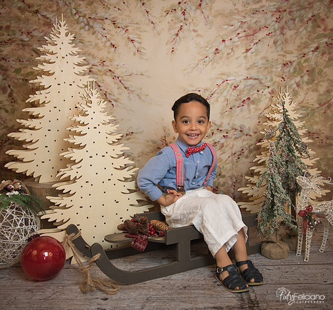 Navidad-11096