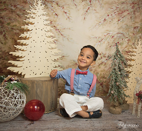 Navidad-11177