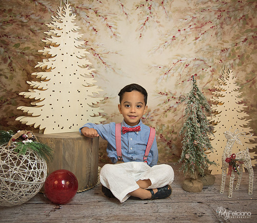 Navidad-11170