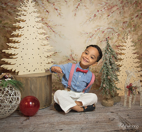Navidad-11175