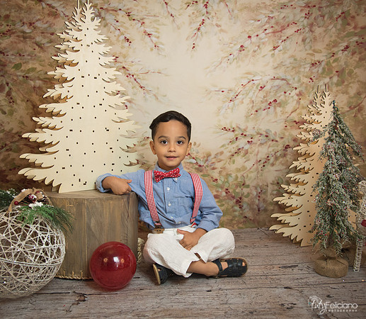 Navidad-11150