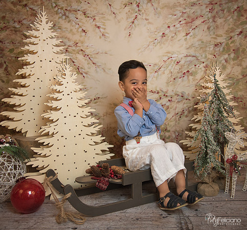Navidad-11088