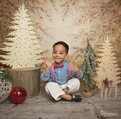 Navidad-11206