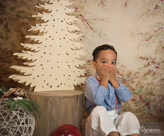 Navidad-11140