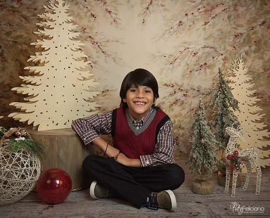 Navidad-11250