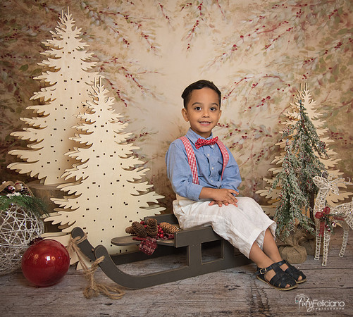 Navidad-11061
