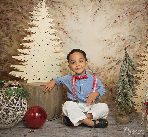 Navidad-11182