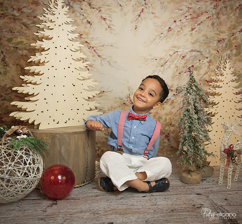 Navidad-11174