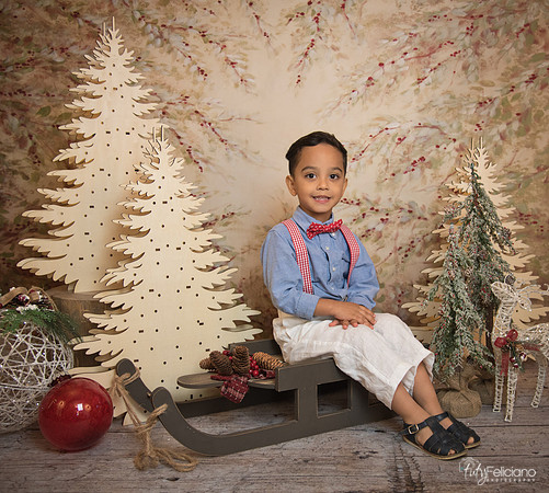 Navidad-11060
