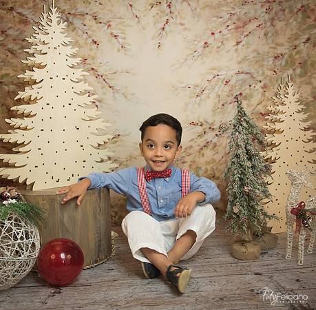 Navidad-11197