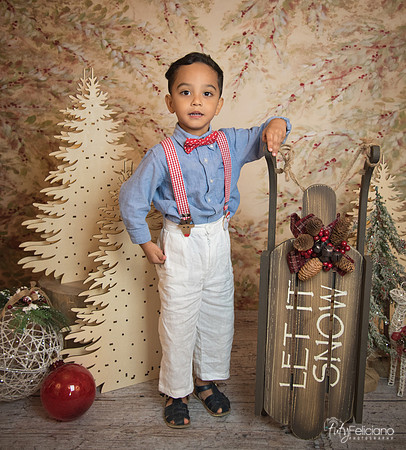 Navidad-11109
