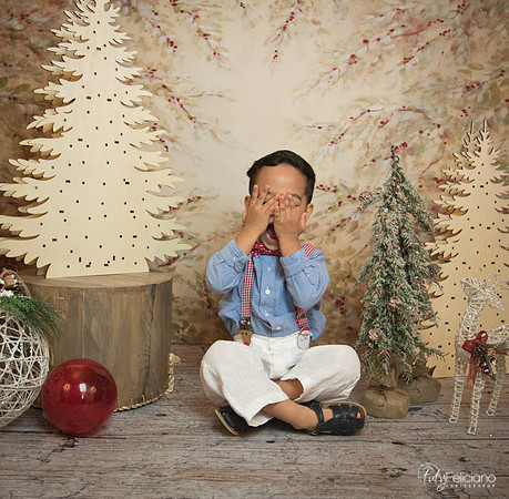 Navidad-11204