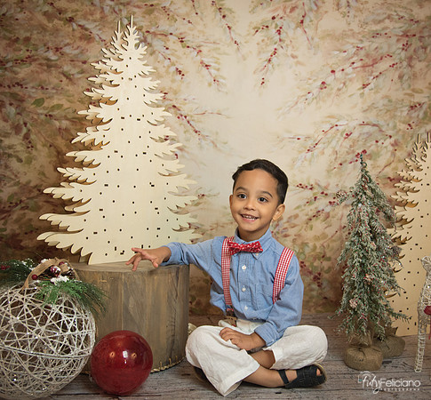 Navidad-11186
