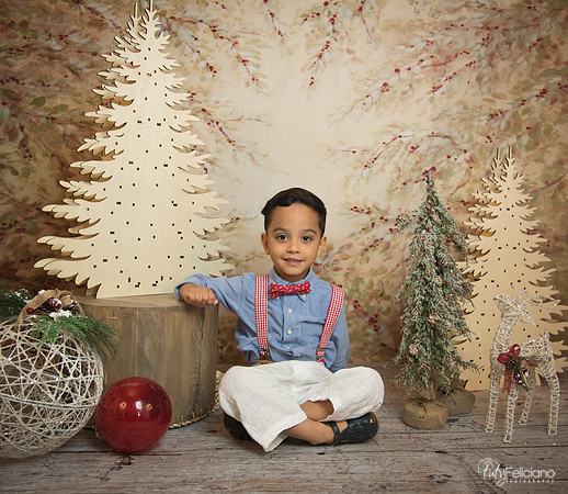 Navidad-11167