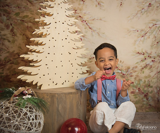 Navidad-11137