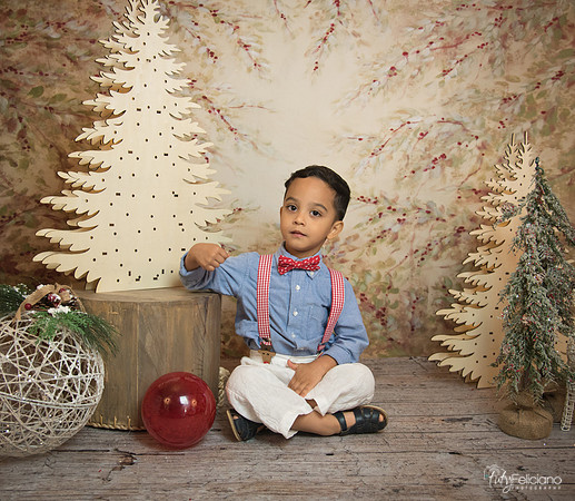 Navidad-11146