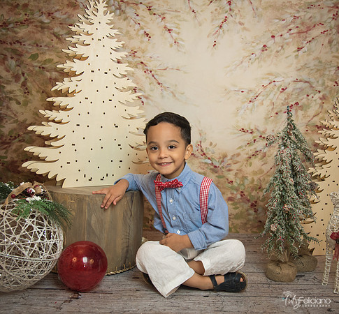 Navidad-11181
