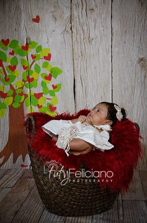 2014 Valentine-648