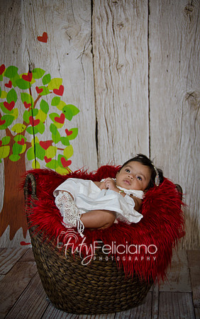 2014 Valentine-674