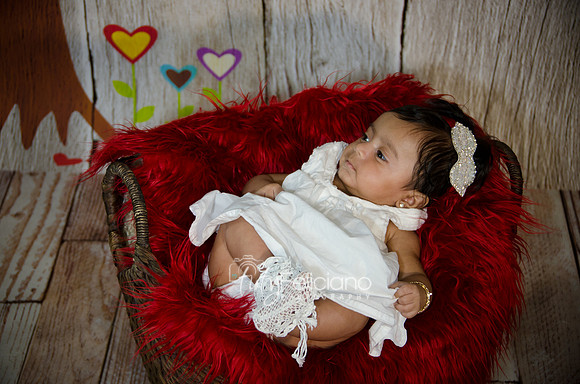 2014 Valentine-698